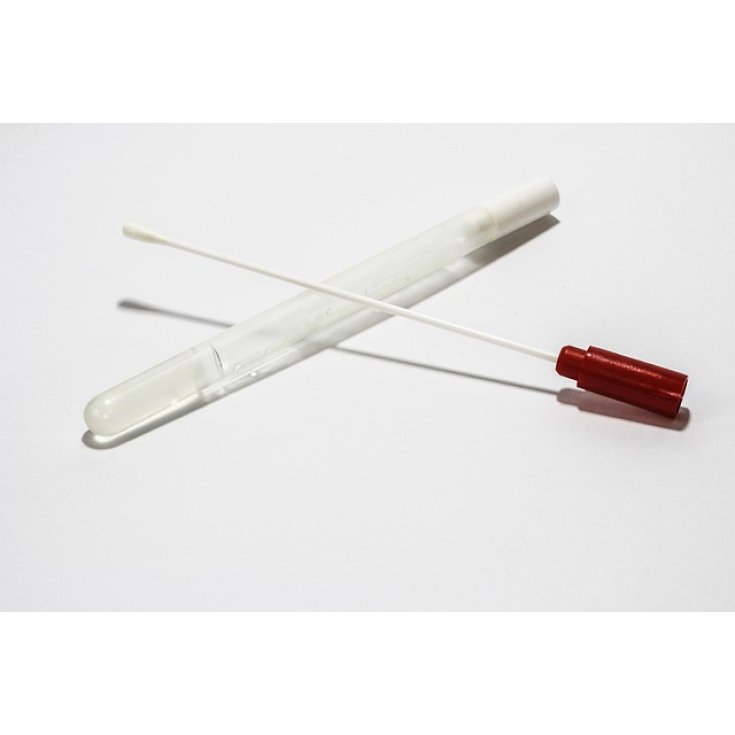 Safety Tampone Orofaringeo + Provetta