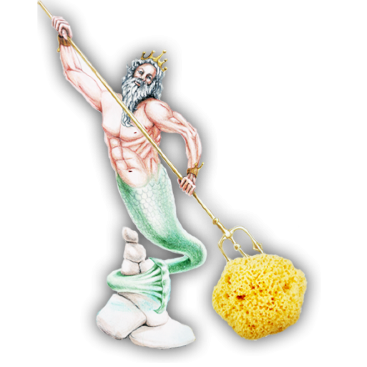 Spugnifici Bellini Spugna Di Mare Arcipelago 14 Pezzi
