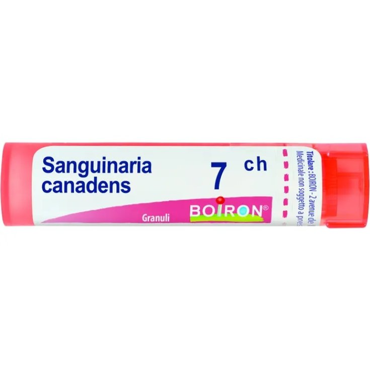 Sanguinaria Canadensis 7CH Boiron Granuli 4g