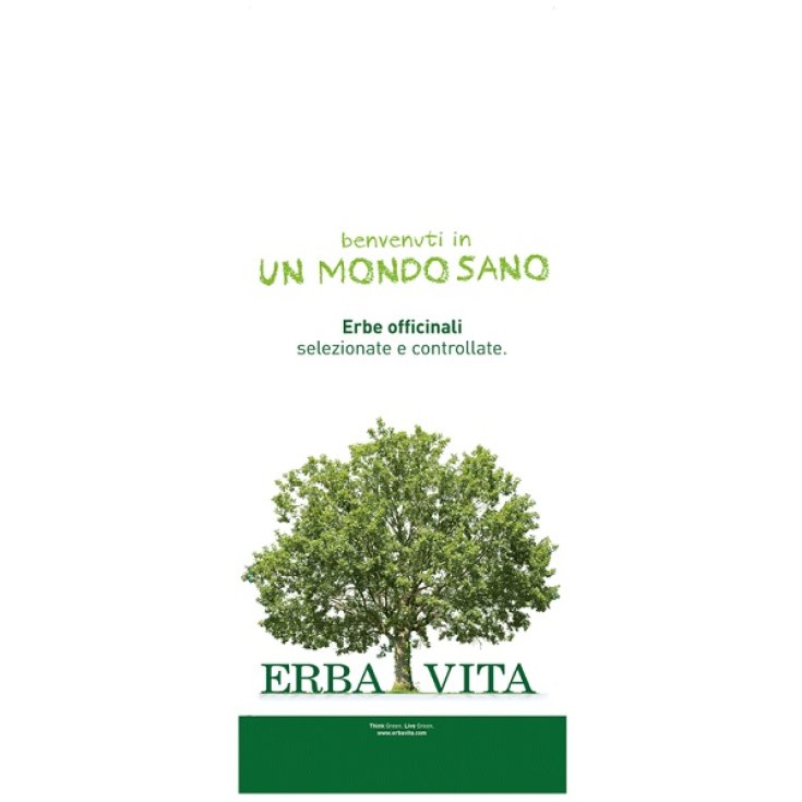 Tè Bianco Pai Muthan Erba Vita 1Kg