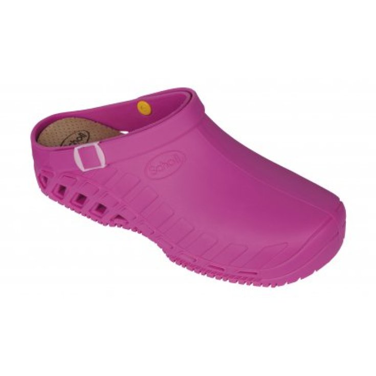 Clog Evo Scholl Fuchsia Misura 37-38