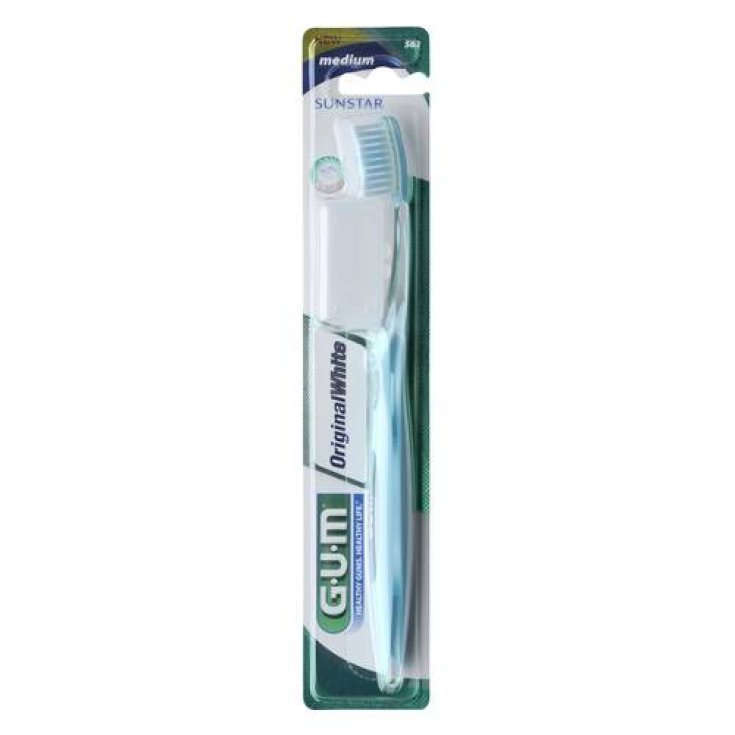 Sunstar Gum Pennello Originale Bianco Medio