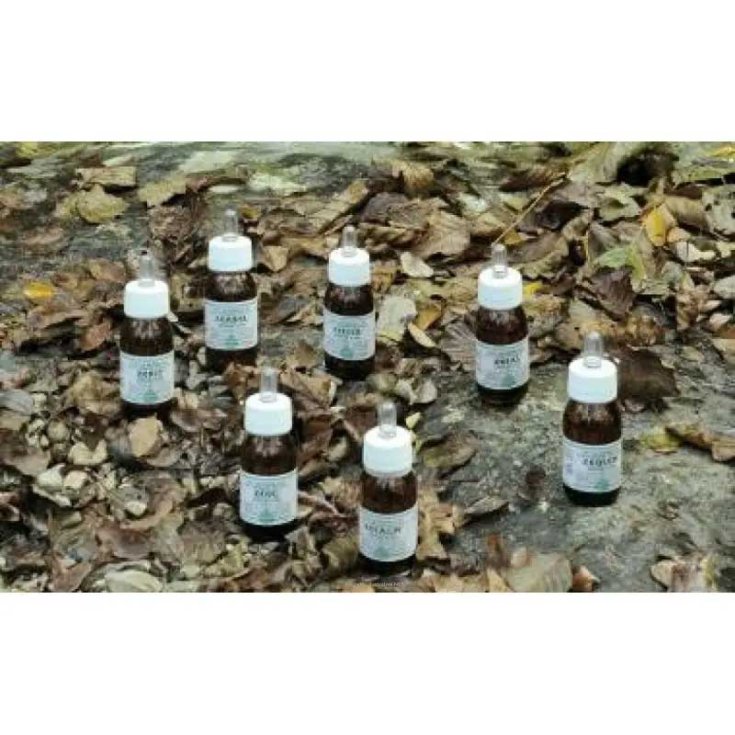 KA PLANTA OLIO MASSAGGIO ALCHEMICA VALGELATA 30ML
