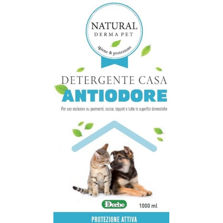 Igienizzante Casa Antiodore - 1LT