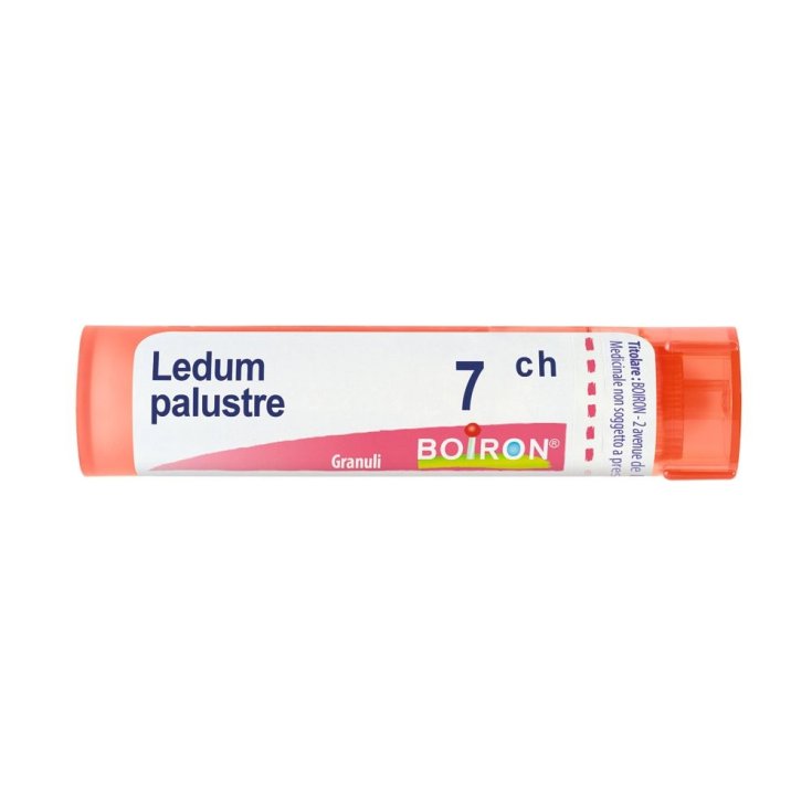 Ledum Palustre 7CH Boiron Granuli 4g