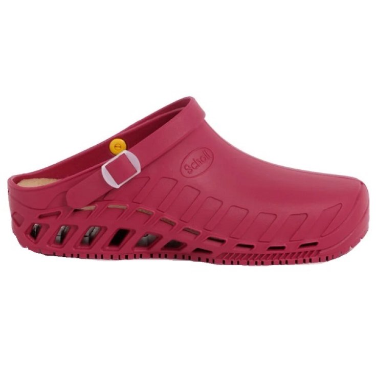 CLOG EVO TPR UNISEX VINO 42/43 Dr.Scholl®
