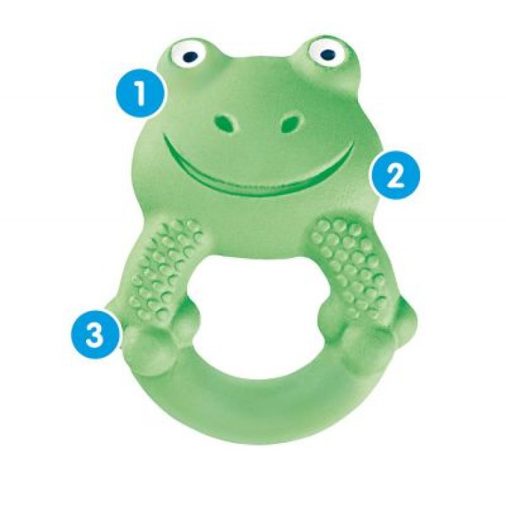 Max The Frog Mam 1 Pezzo