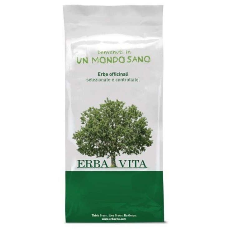 Coda Cavallina/Equiseto Tisane Erba Vita 100g