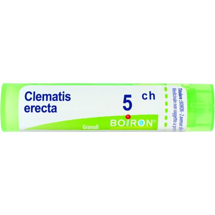 Clematis Erecta 5CH Boiron Granuli 4g