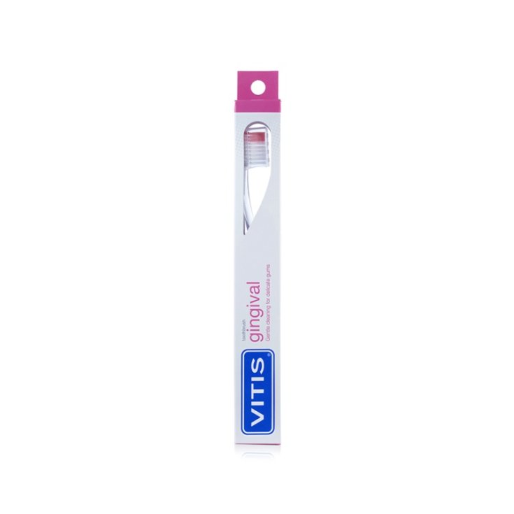 Spazzolino Gingival Vitis® 1 Pezzo