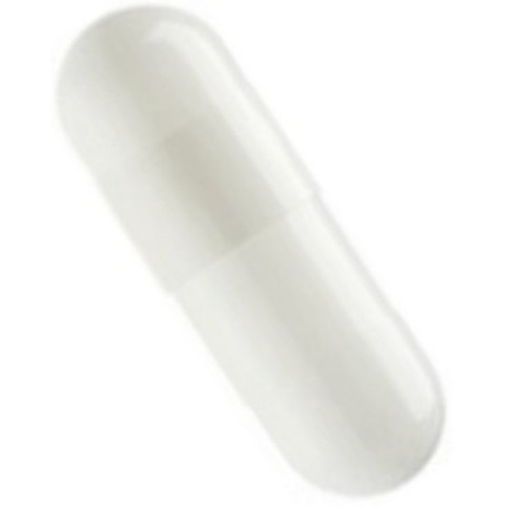 Capsula Vuota Misura 3 Colore Bianco 5000 Capsule