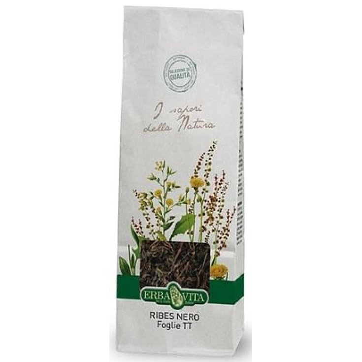 Ribes Nero Foglie Erba Vita 100g
