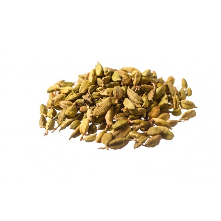 Cardamomo Semi Verdi Biokyma 500g