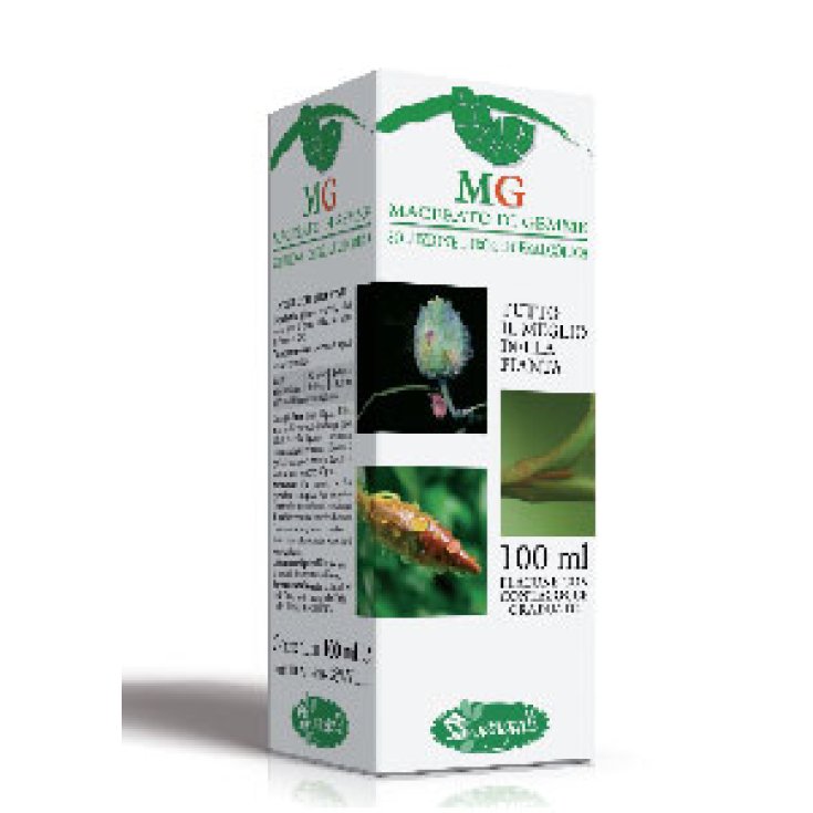 Castagno Mg Sangalli Dal 1876 100ml