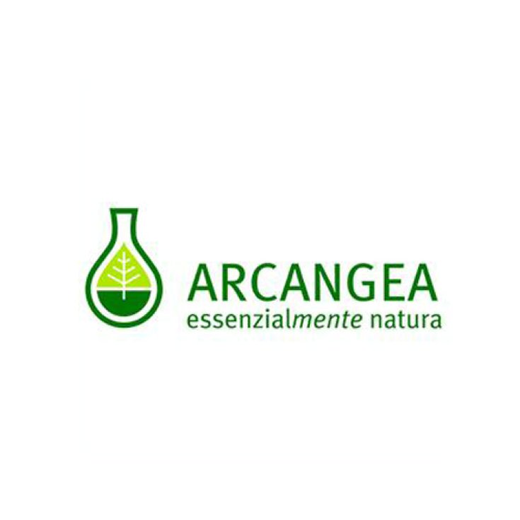 Ribes Nigrum Gm Circulatum Arcangea 100ml