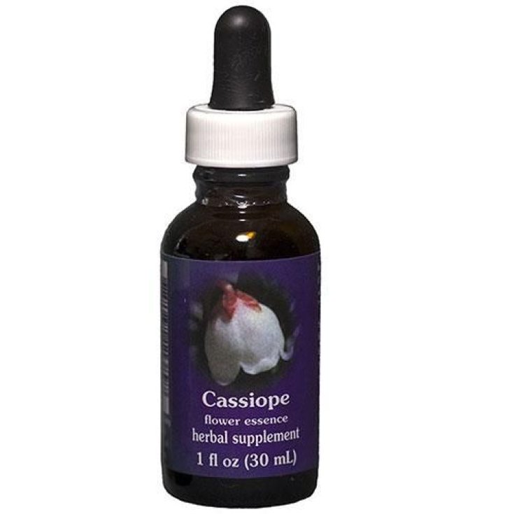 Cassiope Essenza Singola Californiana Natur 7,4ml