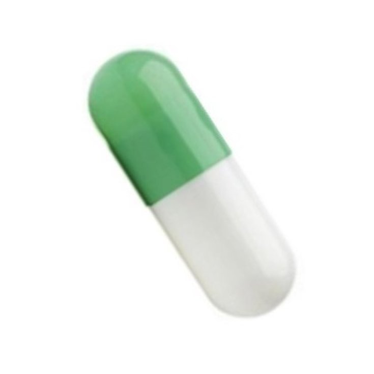 Capsula 1 Bianca/Verde 5000 Pezzi