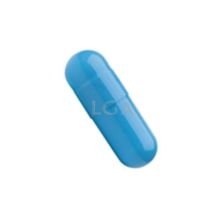 Capsule 00 Blu LGA 1000 Pezzi