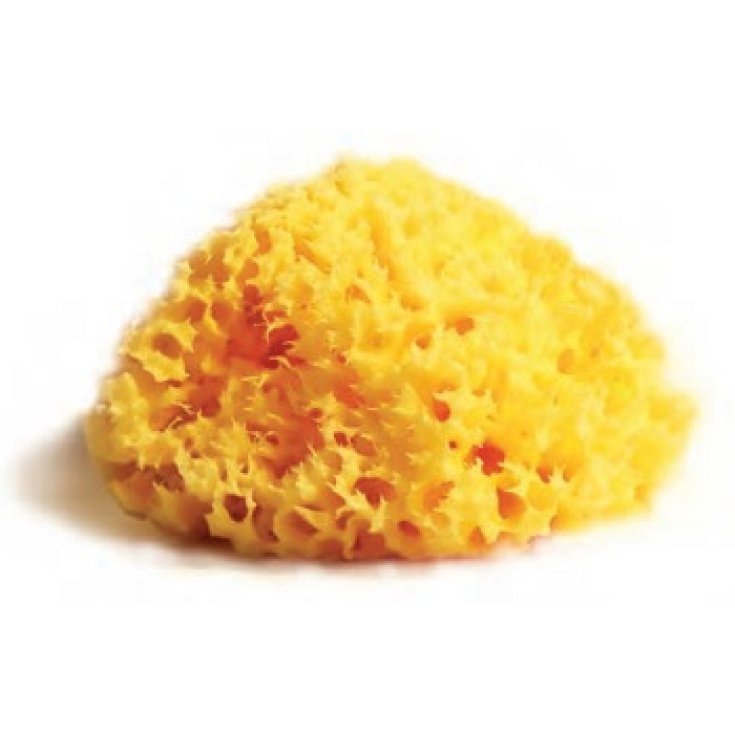 Spugna Loofah C.M. Carloni 1 Pezzo