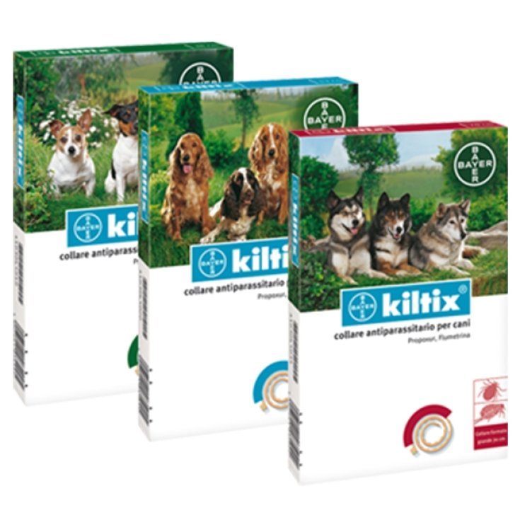 Kiltix - 53CM