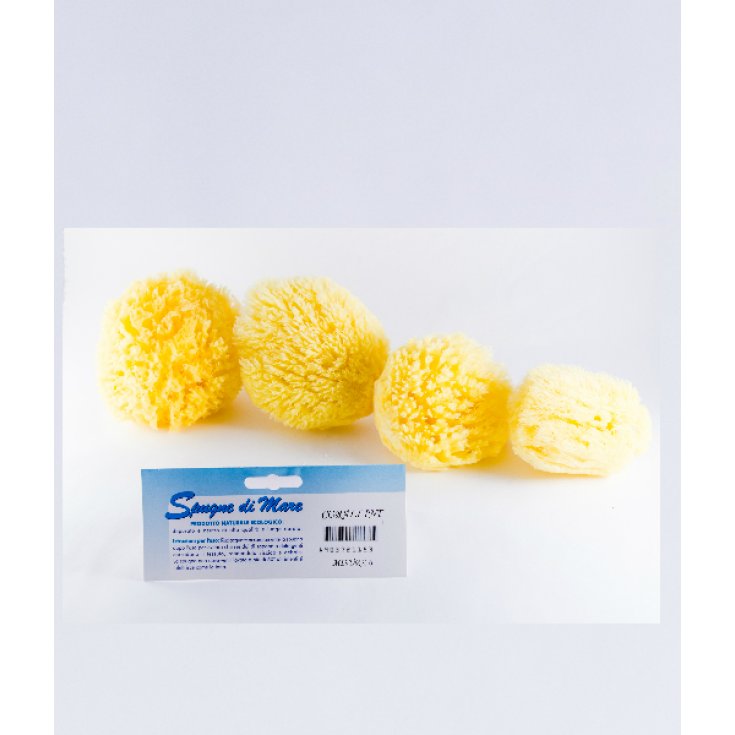 Spugna Mare Naturale Misura XL