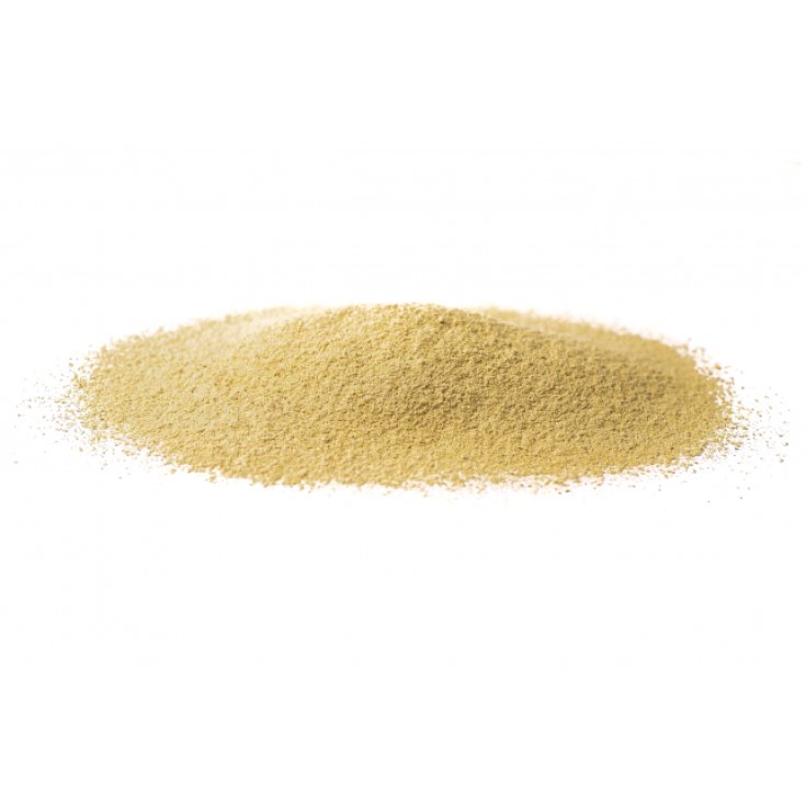 Liquirizia Radice Decorticata Galeno 100g