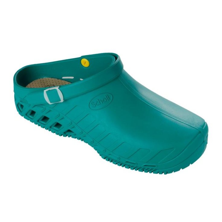 Clog Evo Unisex Scholl Verde 46-47