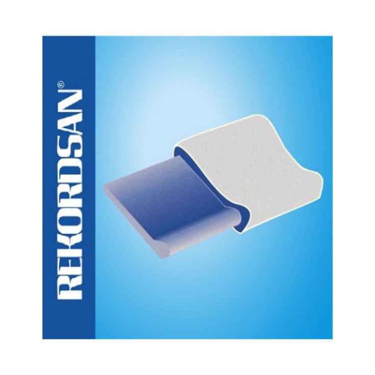 Rekordsan Guanciale Comfort Luropas