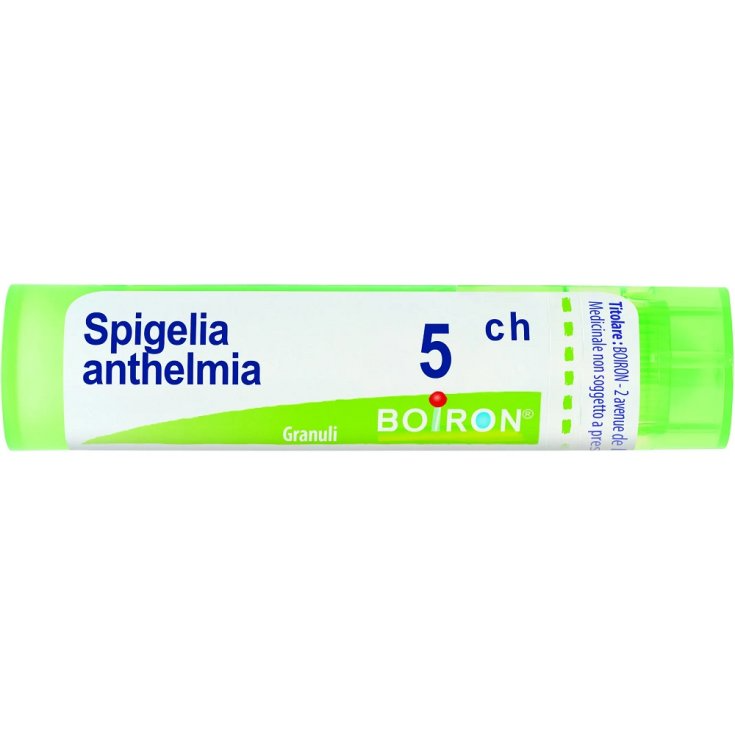 Spigelia Anthelmia 5CH Boiron Granuli 4g