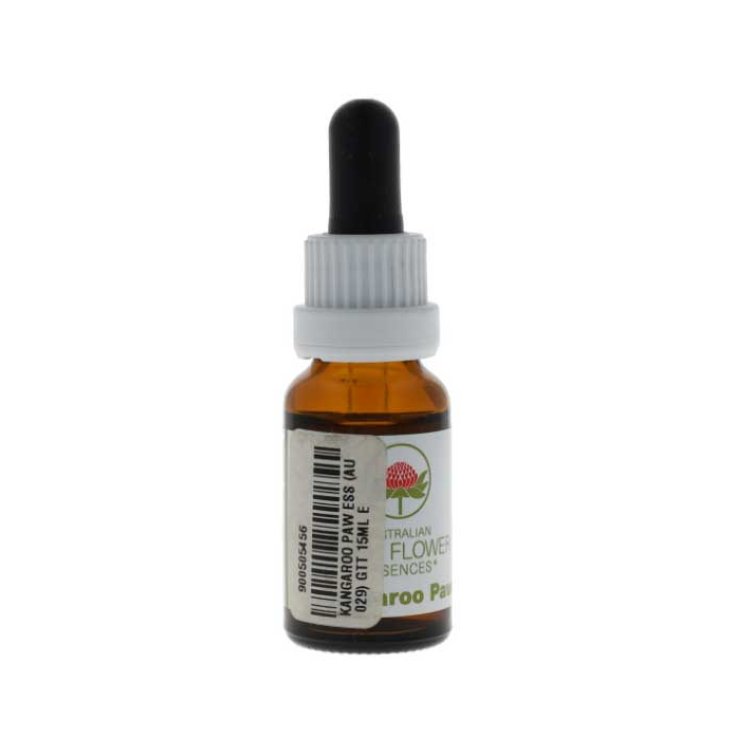 KANGAROO PAW ESSENZA 15ML
