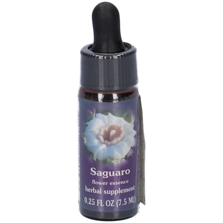 Saguaro Essenza Calf Natur 7,4ml
