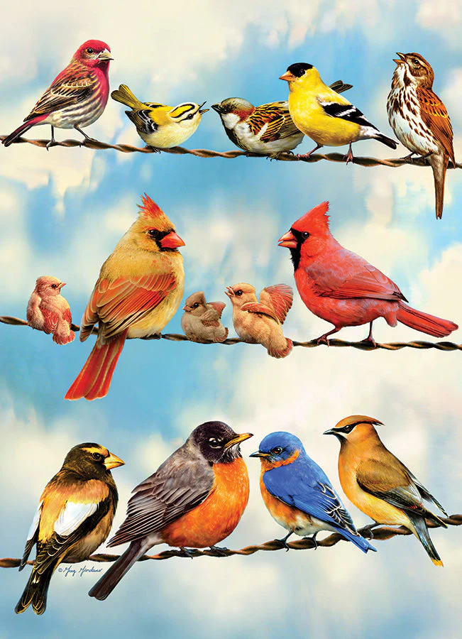 Birds on a Wire | 500 Piece