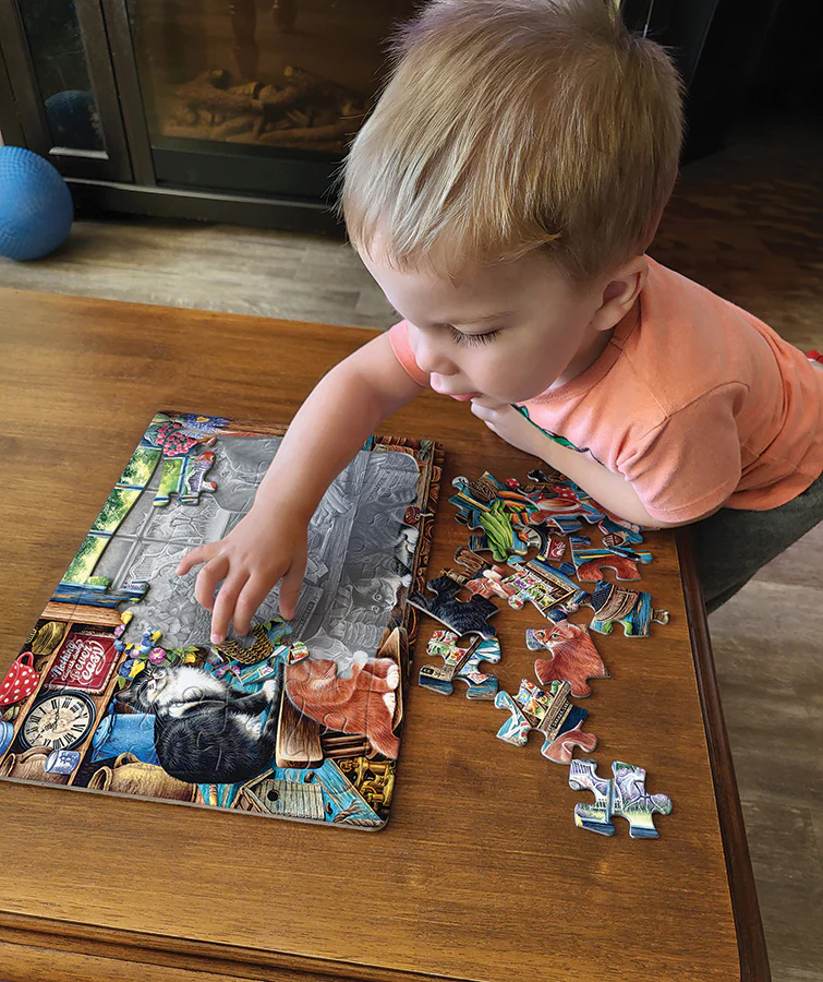 Garden Shed Cats (tray) | 35 Piece Tray