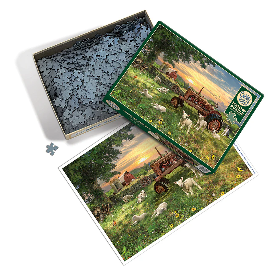 Field at Sunrise | 1000 Piece