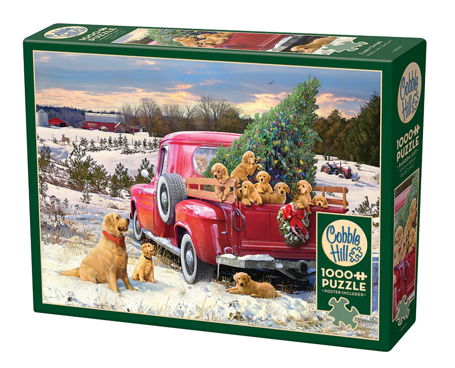 Family Outing | 1000 Piece