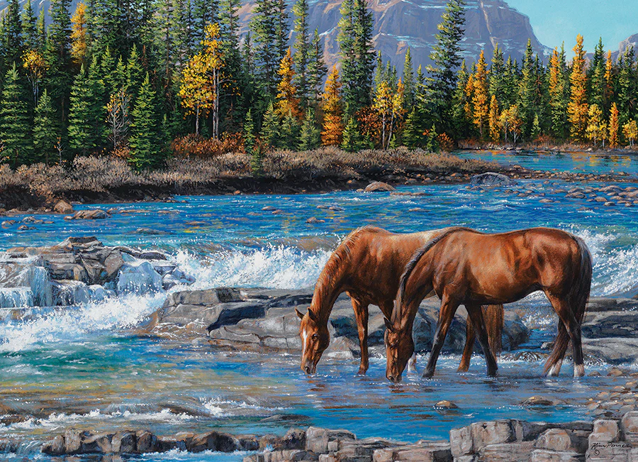 On the Rocks | 1000 Piece