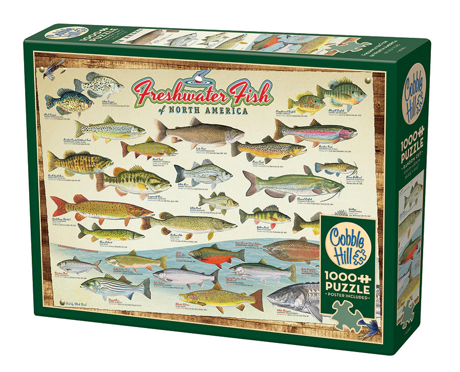 Freshwater Fish of North America | 1000 Piece