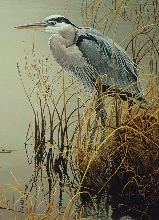 Great Blue Heron | 500 Piece