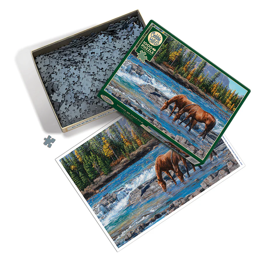 On the Rocks | 1000 Piece