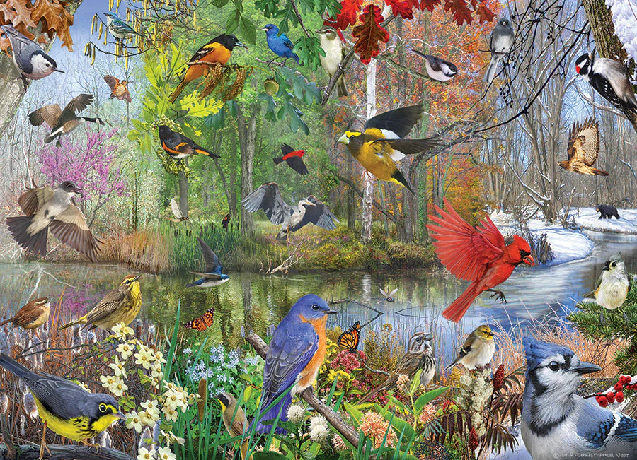 Birds of the Season | 1000 Piece