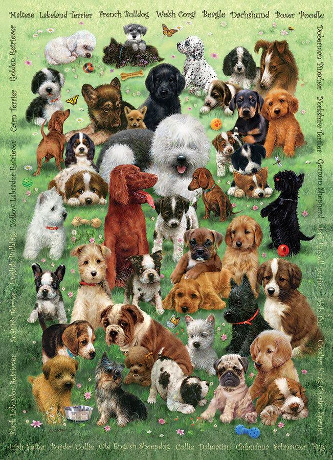 Puppy Love (Family) | Family Pieces 350