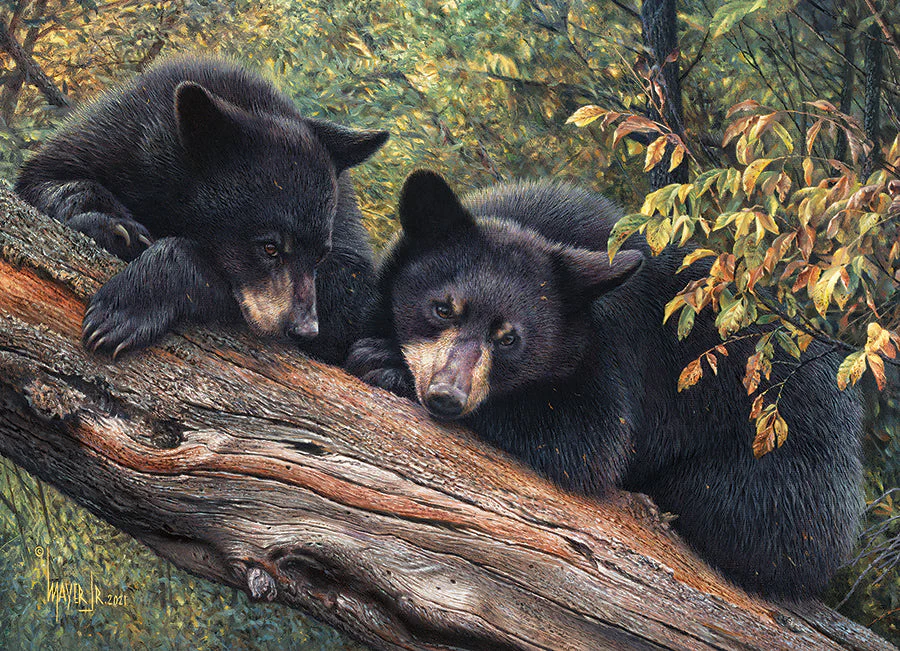 Mom's Awaiting | 1000 Piece