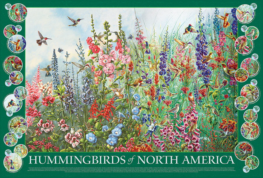 Hummingbirds of North America | 2000 Piece