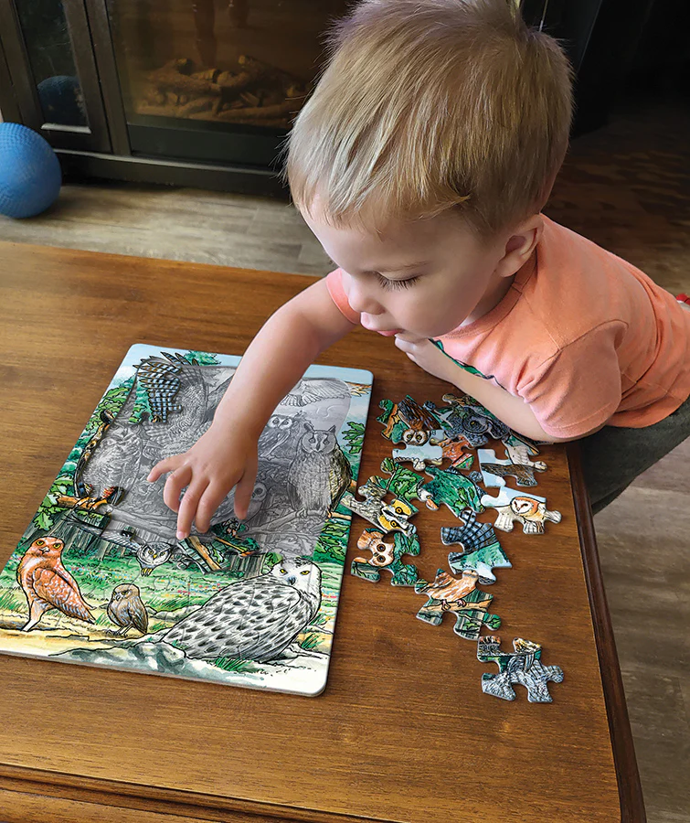 North American Owls (tray) | 35 Piece Tray