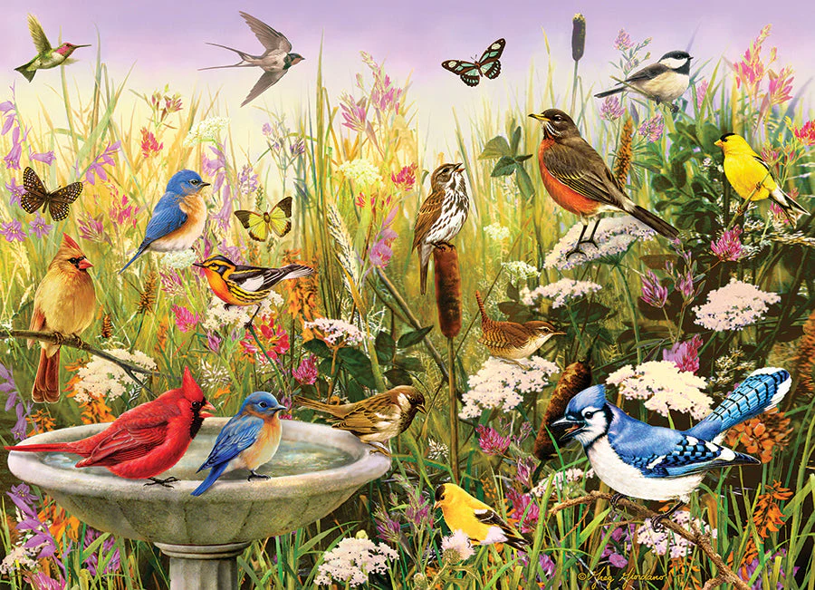 Feathered Friends | 1000 Piece