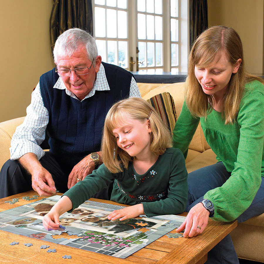 Porch Pals (Family) | Family Pieces 350