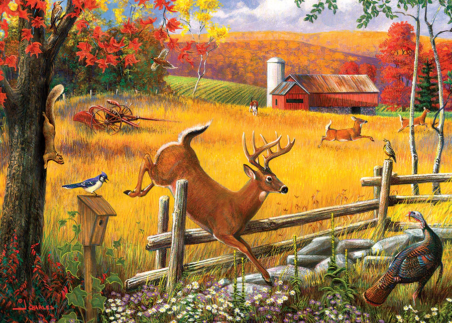 The Big Leap (tray) | 35 Piece Tray