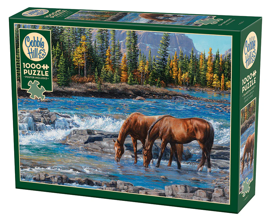 On the Rocks | 1000 Piece