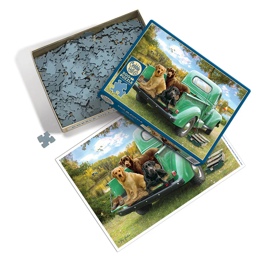 Let's Go Fishing | 500 Piece