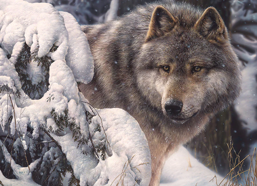 Master of the North | 1000 Piece